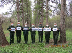 Специалисты Теллермановского лесничества попросили жителей не ходить в лес на майских праздниках