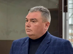 Экс-глава администрации Борисоглебского городского округа не будет подавать апелляцию