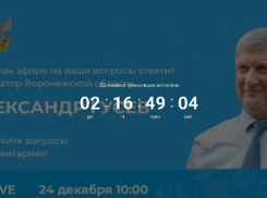 Губернатор принимает вопросы: из Борисоглебска и Новохоперска уже поступают