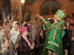 Верующие Борисоглебска отпраздновали Вербное воскресенье