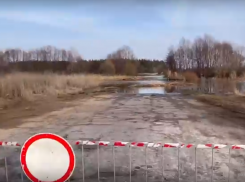 Пик паводка на реке Савала Терновского района пройден