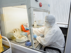 Число суточных зараженных Covid-19 снова перевалило за 100 в Воронежской области