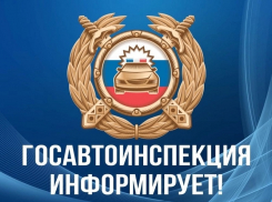 График работы Госавтоинспекции изменится в майские праздники в Воронежской области 