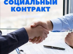3000 социальных контрактов планирует оформить Борисоглебский центр социальной защиты населения в 2023 году