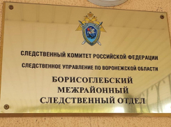 20-летний парень предстанет перед судом за избиение полицейского в Грибановской районной больнице