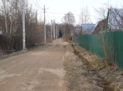 Пьяный дачник  сбил насмерть женщину в Бутурлиновском  районе