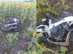 Мотоциклист без прав разбился на трассе в Воронежской области