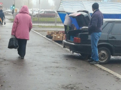 Что несут с собой стихийные рынки в Борисоглебске