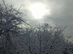 С похолодания начнется новая рабочая неделя в Борисоглебске