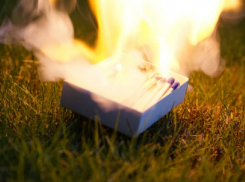 В Воронежской области установлен 3 класс пожарной опасности