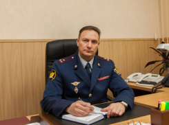 Исполняющим обязанности руководителя УФСИН по Воронежской области назначили Аркадия Молоканова