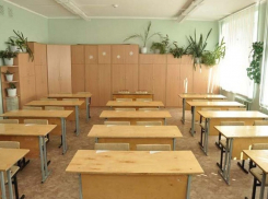 Борисоглебские школьники уйдут на каникулы досрочно