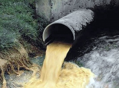 Житель Воронежской области просит неравнодушных граждан спасти Дон от загрязнения