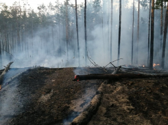 Спасатели продолжают бороться с огнем под Борисоглебском 