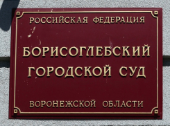 В Борисоглебске будут судить курьера-мошенника из Краснодарского края 