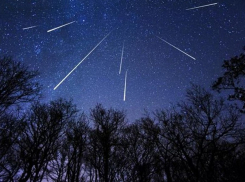 Жители Воронежской области получат возможность наблюдать метеорный поток Геминиды