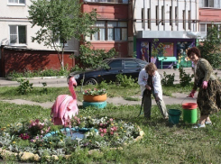 С 12 февраля начался прием заявок на конкурс проектов ТОС