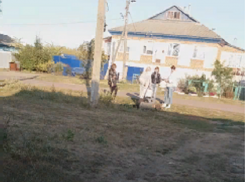 Борьбу за явку в Грибановке сняли на видео