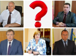 Кто из глав администраций восточных районов Воронежской области зарабатывает больше губернатора