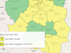 Желтый уровень опасности из-за гроз и сильного ветра ввели в Воронежской области