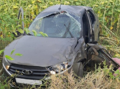 Водитель «Лады» вылетел с трассы и погиб в Поворинском районе 