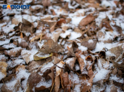 Мокрый снег и минусовую температуру принесет гребень антициклона в Борисоглебск