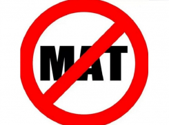 Штраф до 100 тысяч рублей грозит россиянам за мат в интернете 