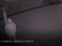 Неизвестные забросали пиротехническими снарядами пекарню в Борисоглебске
