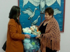 Борисоглебская «Служба Добровольцев» передала игрушки, собранные на Месте скорби, детям