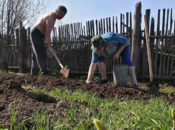 Последняя рабочая неделя апреля будет сокращенной