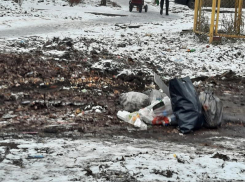 Жители двух микрорайонов Борисоглебска обратились к губернатору по поводу мусорных контейнеров