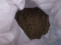 В Борисоглебском округе полицейские изъяли почти полтора килограмма марихуаны у пенсионера