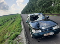 В Терновском районе насмерть сбили пешехода