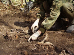 В Калужской области идентифицировали останки терновца, павшего в бою 76 лет назад 