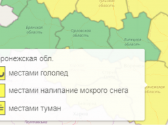Из-за тумана и гололеда в Воронежской области объявили желтый уровень опасности