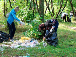 В Год экологии в Борисоглебске пройдут масштабные экологические акции