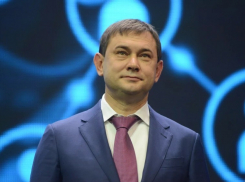 О золотых яйцах воронежского бизнеса рассказал спикер облДумы Нетесов