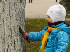 В Борисоглебске стартовал месячник по благоустройству и санитарной очистке территории 