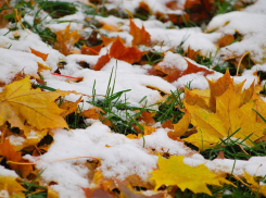 В начале новой рабочей недели борисоглебцы увидят первый снег 