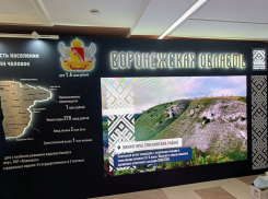 В Совете Федерации стартовали дни Воронежской области