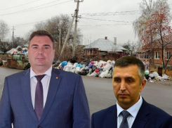 Бездействие администрации Борисоглебска в вопросе уборки мусора признал суд