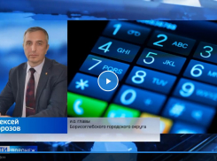 Администрация Борисоглебска заявила, что не может вывезти такой объем веток и листвы «собственным бюджетом»