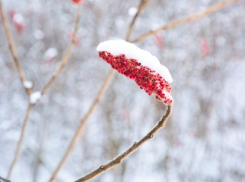 Синоптики рассказали, когда в Воронежской области растает снег