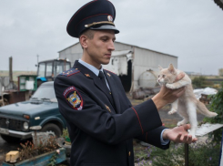  В Каширского районе пьяный депутат напал на «Народного участкового» Воронежской области