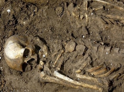 В Нижнем Карачане при строительстве водопровода нашли человеческие кости