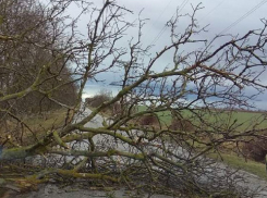 В Воронежской области объявили штормовое предупреждение 