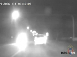 Полицейскую погоню за нарушителем сняли на видео в Грибановском районе