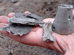 В соседней с Воронежской Белгородской области под обстрел попал коровник: 15 животных погибли