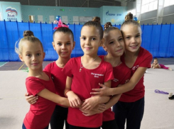 Борисоглебские гимнастки успешно начали соревновательный сезон