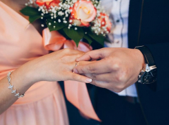 Больше половины браков в Воронежской области заканчиваются разводом